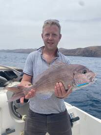 Some fishes of april 2025
