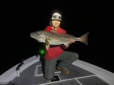 Night bite is on