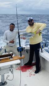 Sandys Report Photo 1