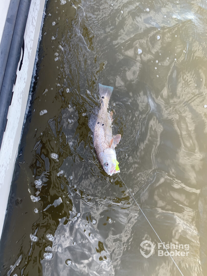 Hilton Head Island Report Photo 0