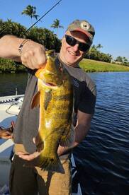 Great morning Peacock bite 