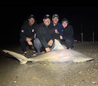 Folly Beach Report Photo 1