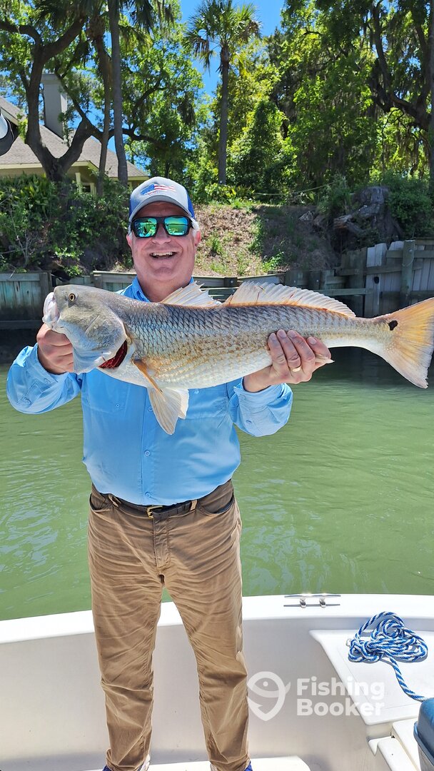 Hilton Head Island Report Photo 0