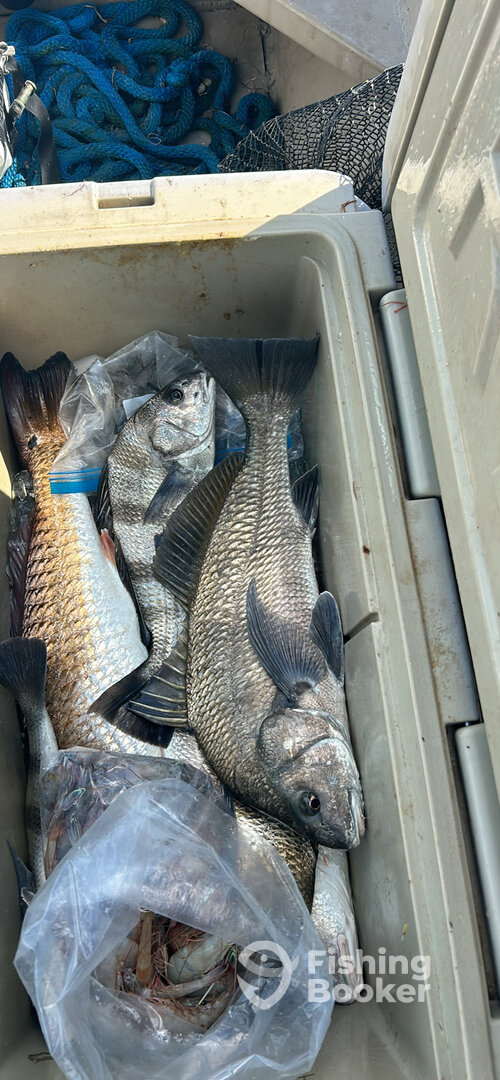 Rockport Report Photo 0