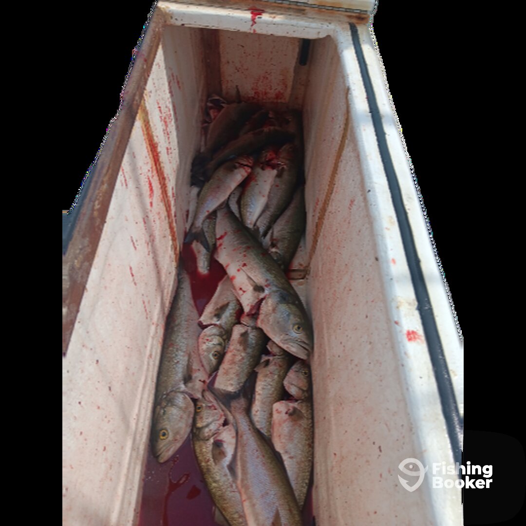 Wanchese Report Photo 0