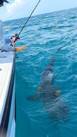 Fort Lauderdale Report Photo 2