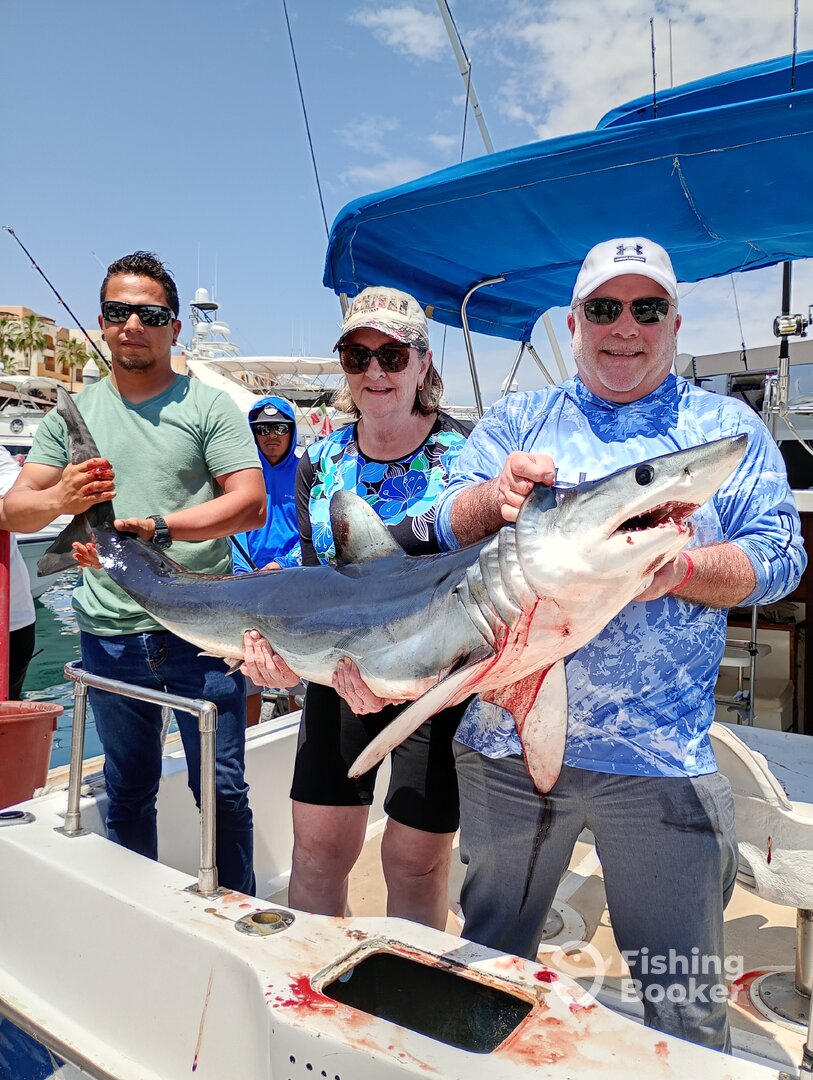 Cabo San Lucas Report Photo 0