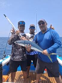 Quepos Report Photo 1