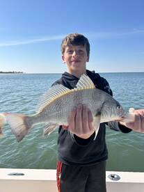 Port St. Joe Report Photo 2