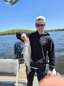 Light’s Out Bait Bite