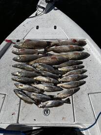 Ocean Springs Report Photo 2