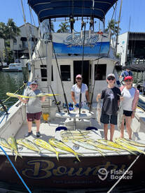 Mahi mahi fish so pretty they named it t