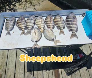 New Smyrna Beach Report Photo 1