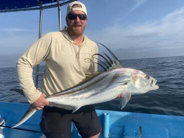 Rooster fish are going crazy