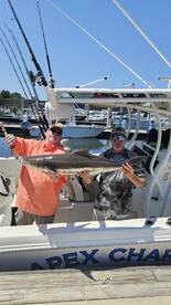 Sandestin Report Photo 1