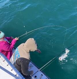 Blues drum sea bass today!!