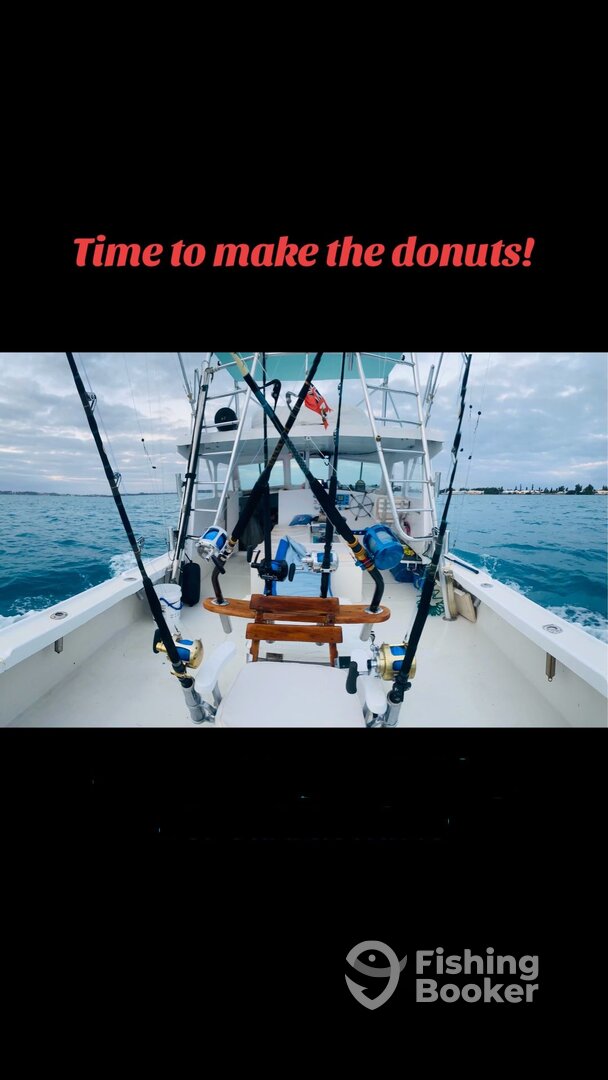 Sandys Report Photo 0