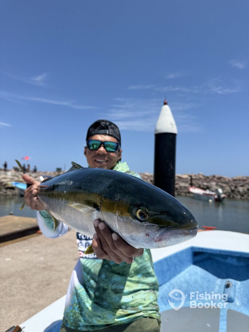 San Jose del Cabo Report Photo 0