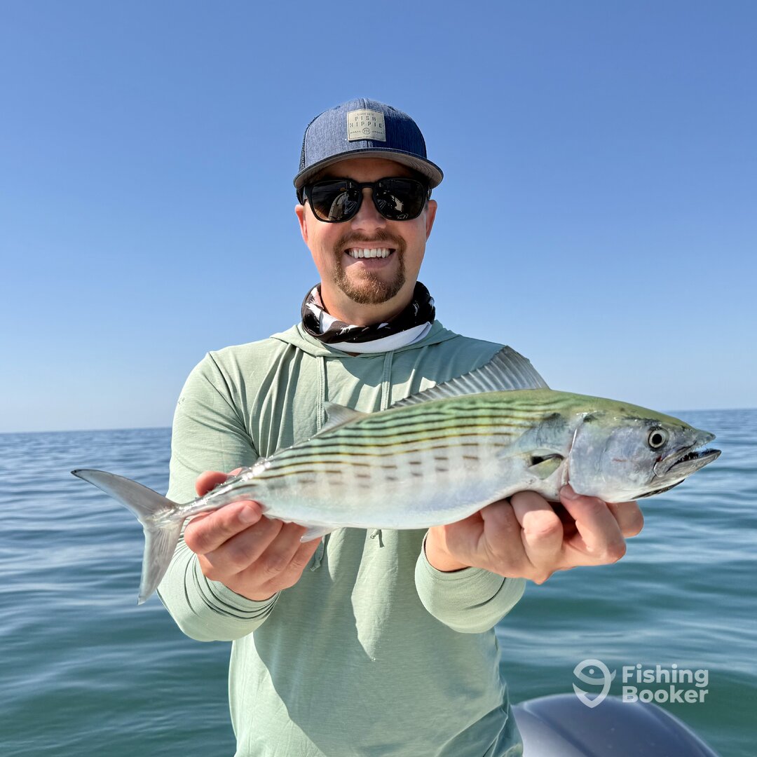Seabrook Island Report Photo 0
