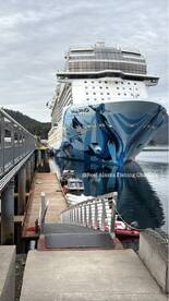 Ketchikan Report Photo 1