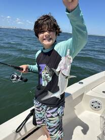 Jacksonville Report Photo 2