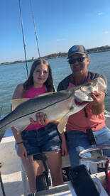 Snook