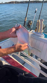 Port Canaveral Report Photo 1