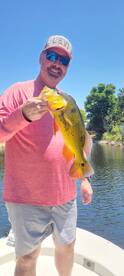 Peacock bass hot!!!