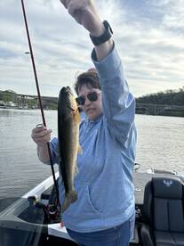 Branson Report Photo 1