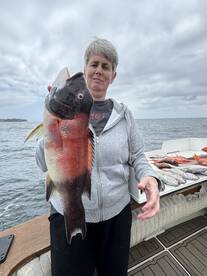 Amazing quality and varitey