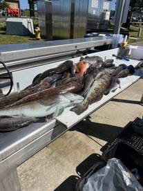 Yaquina Bay Report Photo 2