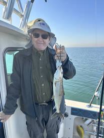 San Diego Report Photo 1