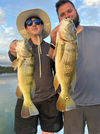 Peacock Bass and Tarpon Tours