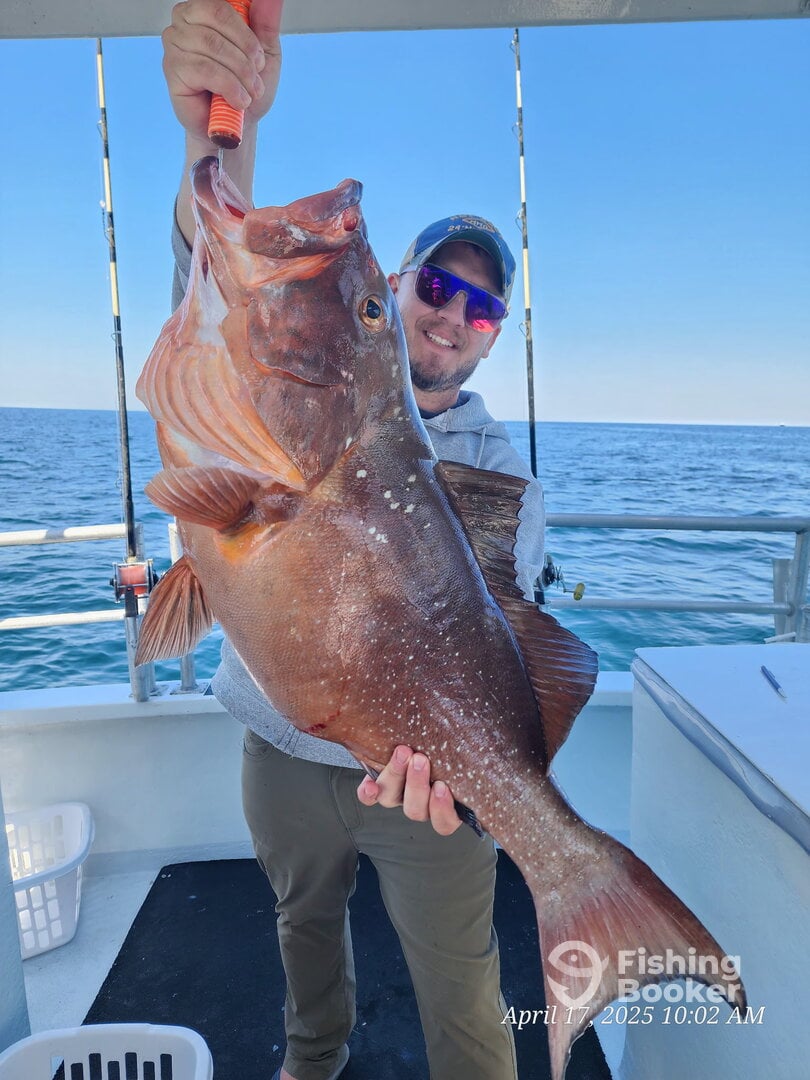 Destin Report Photo 0