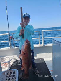 Destin Report Photo 1