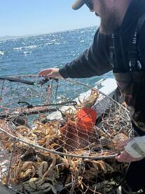 Reedsport Report Photo 2