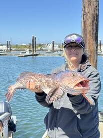 Reedsport Report Photo 1