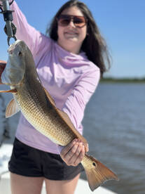 Savannah Report Photo 2