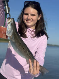 Savannah Report Photo 1