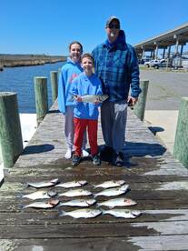 Blue fish everywhere