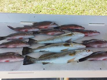 Great Inshore Trip