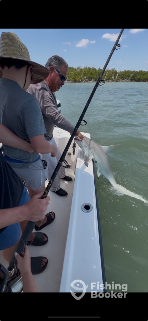 Marco Island Report Photo 0