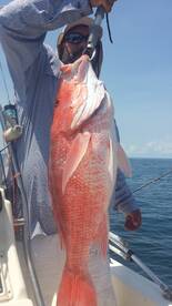 Great Offshore Trip!