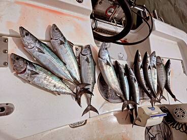 Carolina Beach Report Photo 2