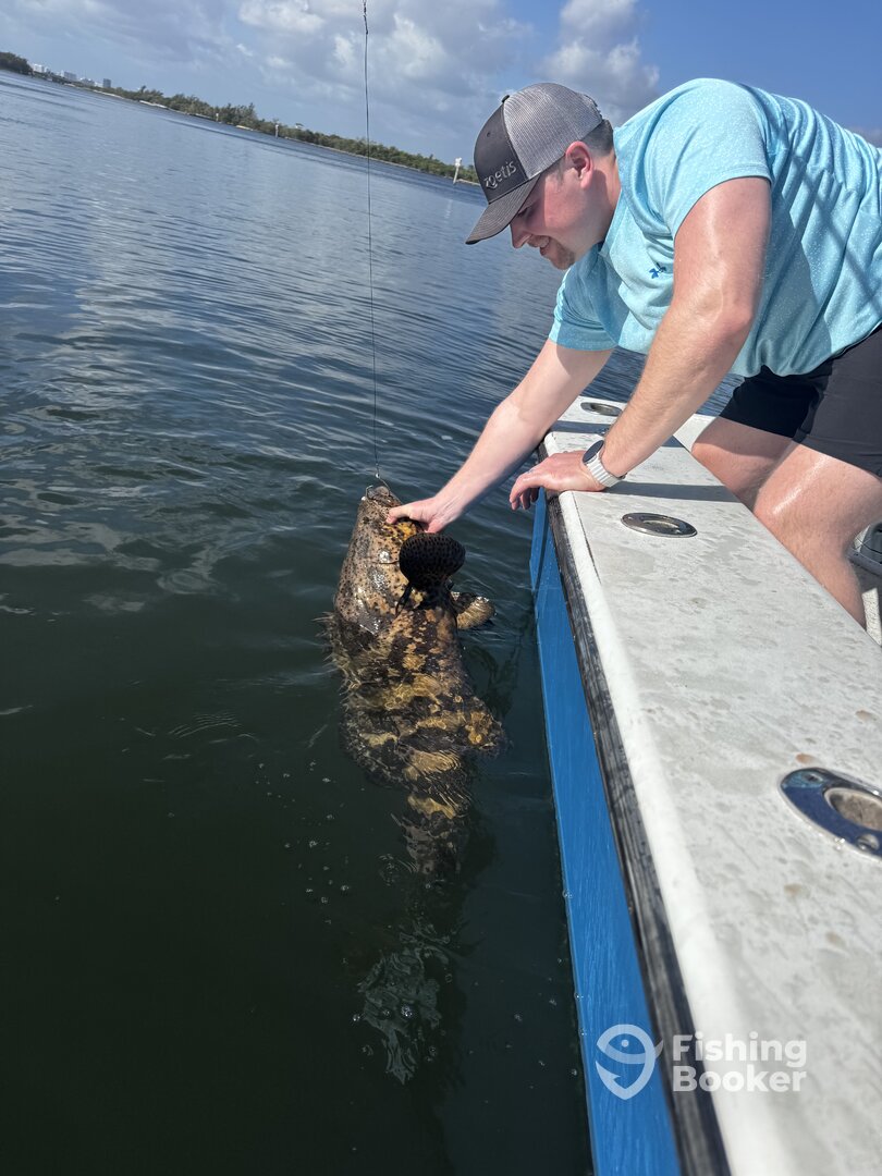 Dania Beach Report Photo 0