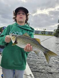 Delray Beach Report Photo 2