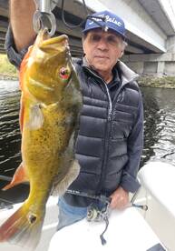 Delray Beach Report Photo 1