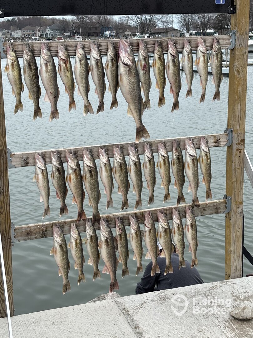 Oak Harbor Report Photo 0