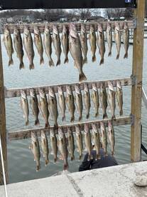 Jig Bite is on at Lake Erie!!  