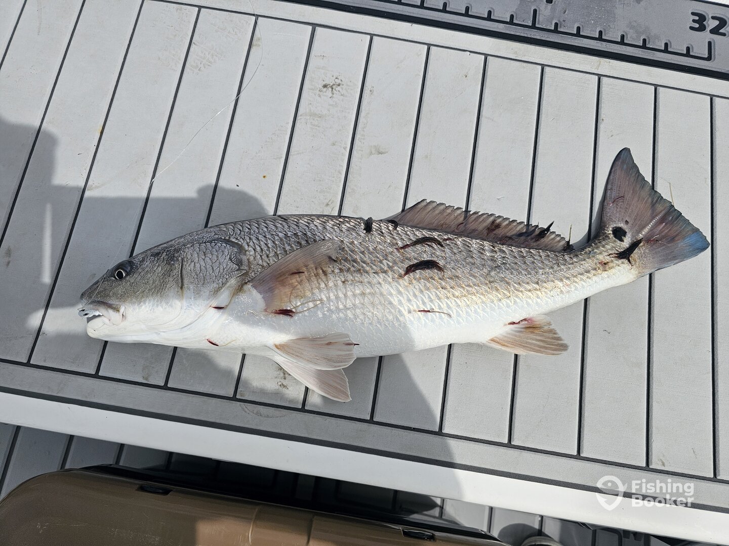 Surf City Report Photo 0